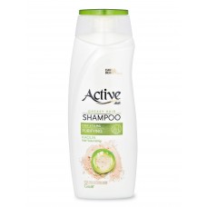 09228 ACTIVE Шампунь для жирных волос, очищение и придание объема CARE & BEAUTY, 350 мл.